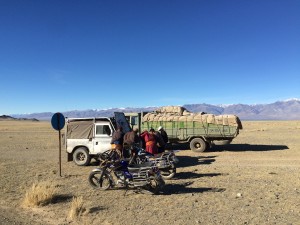 The 'Mongolian Curiosity Test' 