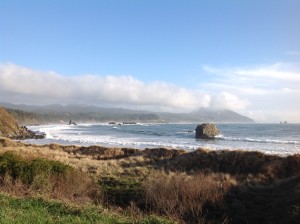 Scenic Oregon coast