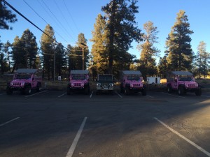 The Land Rovee amongst the pink Jeep tours